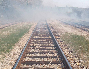 У ВЕЛИКОМ ПОЖАРУ ИЗМЕЂУ ЗАЈЕЧАРА И НЕГОТИНА ОШТЕЋЕНО 400 ПРАГОВА