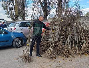 ПОЉОПРИВРЕДНИЦИМА ПОДИЈЕЉЕНО 4.800 САДНИЦА ВОЋА