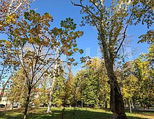 ДАНАС ПРЕТЕЖНО СУНЧАНО И ТОПЛО