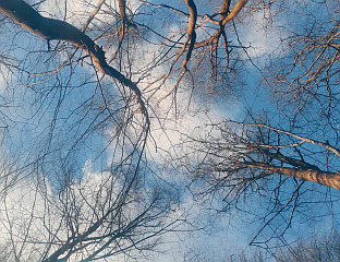 СУТРА РАЗВЕДРАВАЊЕ, НА ЈУГУ ПРОЛАЗНА КИША