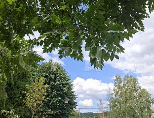 СУТРА УГЛАВНОМ ОБЛАЧНО, ТЕМПЕРАТУРА ДО 16 СТЕПЕНИ