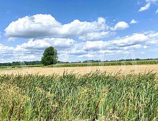 СУТРА СУНЧАНО И ТОПЛИЈЕ