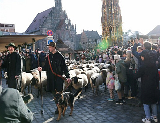 СТОТИНЕ ОВАЦА ПРОШЛЕ УЛИЦАМА НИРНБЕРГА