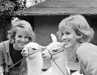 ПРЕМИНУЛЕ ЧУВЕНЕ СЕСТРЕ КЕСЛЕР