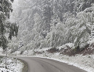 СНИЈЕГ У КРАЉЕВУ, КРАГУЈЕВЦУ, УЖИЦУ, ПРИЈЕПОЉУ, НОВОЈ ВАРОШИ И НА ЗЛАТИБОРУ