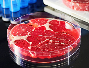 МАЂАРСКИ ПАРЛАМЕНТ ЗАКОНОМ ЗАБРАНИО МЕСО ИЗ ЛАБОРАТОРИЈЕ