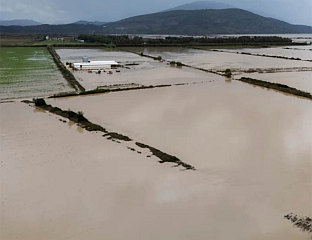 НАЈМАЊЕ ЈЕДНО ЛИЦЕ ПОГИНУЛО У ПОПЛАВАМА, НАЈТЕЖЕ У РУРАЛНИМ ПОДРУЧЈИМА НА ЈУГУ
