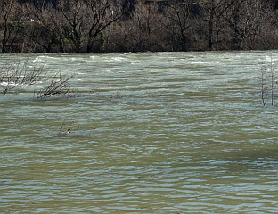 САНА СЕ ИЗЛИЛА ИЗ КОРИТА, ВОДОСТАЈ РИБНИКА У ПОРАСТУ