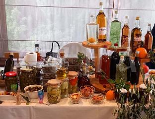 ОТВОРЕН ПРВИ ФЕСТИВАЛ МАСЛИНАРСТВА