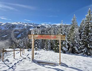 ЈАХОРИНА ОКУПАНА СУНЦЕМ - ИДЕАЛНО ВРИЈЕМЕ ЗА ДОЛАЗАК НА ПЛАНИНУ