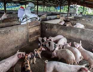 ИСТРАГА УСМЈЕРЕНА НА ПЕТ ЛАБОРАТОРИЈА КАО ПОТЕНЦИЈАЛНИХ ИЗВОРА