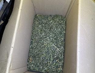 ПРОНАЂЕНА СКОРО ЧЕТИРИ КИЛОГРАМА МАРИХУАНЕ, УХАПШЕНО ЈЕДНО ЛИЦЕ