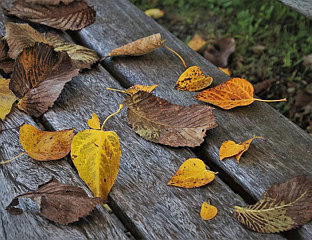 СУТРА ОБЛАЧНО И ХЛАДНО