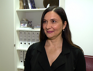 САЈИЋ: ДИЈАСПОРА ОГОРЧЕНА ЈЕР НИЈЕ ОТВОРЕН НОВИ ГРАНИЧНИ ПРЕЛАЗ ГРАДИШКА