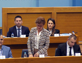 ВИДОВИЋ: ПОСЛАНИЦИ ПОДРЖАВАЈУ ПОВЕЋАЊЕ ПЛАТА У ОБРАЗОВАЊУ И КУЛТУРИ