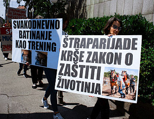 ЗАБРАНИТИ ШТРАПАРИЈАДЕ ЈЕР СЕ ЊИМА ЗЛОСТАВЉАЈУ КОЊИ