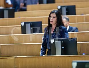 VULIĆ: SNSD WILL BACK JUSTICE MINISTRY'S PROPOSED HJPC LAW FOR PRINCIPLED REASONS