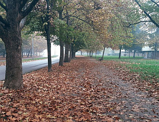 СУТРА ПРЕТЕЖНО ОБЛАЧНО