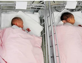 РОЂЕНЕ 23 БЕБЕ