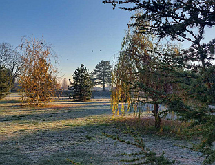 СУТРА ДО ПЕТ СТЕПЕНИ ЦЕЛЗИЈУСОВИХ