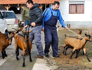 ГУЈОН: СТИГАО БОЖИЋНИ КОНВОЈ, СРБИ НИСУ САМИ