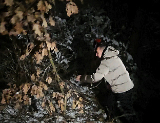 ЈЕРИНИЋ СЈЕКАО БАДЊАК У МАЛОЈ БУКОВИЦИ