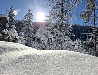 СУТРА СУНЧАНО И ХЛАДНО, ТЕМПЕРАТУРА ДО 12 СТЕПЕНИ
