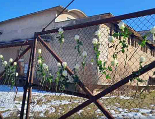 SEVERAL FORMER CAMP INMATES LAID FLOWERS AT GATES OF "SILOS" CAMP