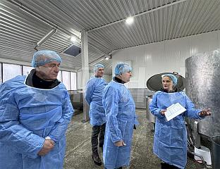 АВДАЛОВИЋ: ГОДИШЊА ПРОИЗВОДЊА ОД ПЕТ МИЛИОНА ЛИТАРА МЛИЈЕКА