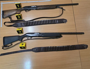 ЦИЉАО ПСА ЛУТАЛИЦУ, А РАНИО БРАТА