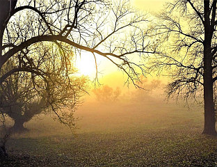 ДАНАС НАТПРОСЈЕЧНО ТОПЛО, НА ЈУГУ ОБИЛНИЈЕ ПАДАВИНЕ