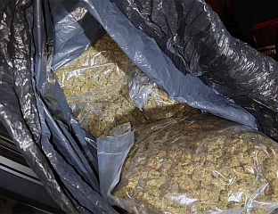 ЗАПЛИЈЕЊЕНО ВИШЕ ОД 60 КИЛОГРАМА МАРИХУАНЕ НА ГРАНИЦИ КОД ПЉЕВАЉА