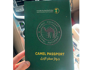 РИЈАД УВЕО ПАСОШЕ ЗА КАМИЛЕ