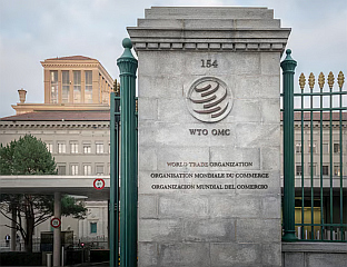 ПОТРЕБНА ХИТНА РЕФОРМА СВЈЕТСКЕ ТРГОВИНСКЕ ОРГАНИЗАЦИЈЕ