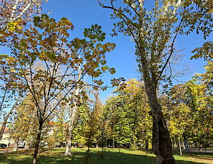 СУТРА ТОПЛИЈЕ, ОБЛАЧНО И ВЈЕТРОВИТО