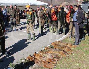 У ЛОВУ НА ПРЕДАТОРЕ ОДСТРИЈЕЉЕНЕ ЧЕТИРИ ЛИСИЦЕ И ТРИ ШАКАЛА