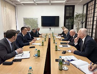 РАЗМОТРИТИ УВОЂЕЊЕ ПРИВРЕМЕНИХ ЗАШТИТНИХ МЈЕРА ПРИ УВОЗУ ЧЕЛИКА