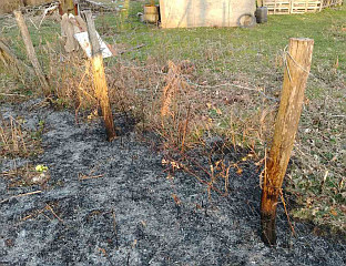 УГАШЕН ПОЖАР У ПАВКОВИЋИМА, ГОРЈЕЛИ СУВА ТРАВА И НИСКО РАСТИЊЕ