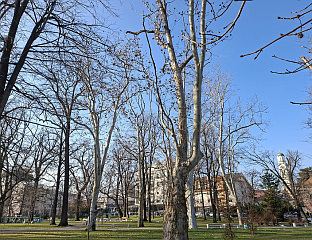 ДАНАС УГЛАВНОМ СУНЧАНО И ТОПЛО