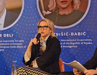 ТРИШИЋ БАБИЋ: УЗРОК СВИХ ПОЛИТИЧКИХ ПРОБЛЕМА У БиХ СУ ОХР И ШМИТ