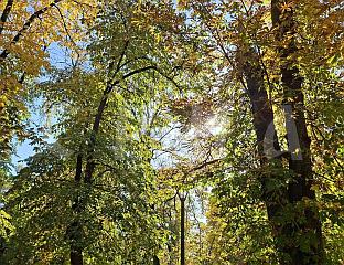 СУТРА СУНЧАНО И ТОПЛО, УЗ ПОСТЕПЕНО НАОБЛАЧЕЊЕ