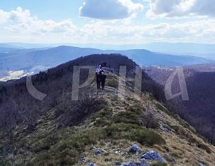 ТРАДИЦИОНАЛНИ ЗИМСКИ УСПОН НА ДИМИТОР ОКУПИО ОКО 500 УЧЕСНИКА
