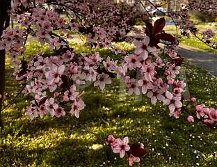 ПОЧИЊЕ ПРОЉЕЋЕ