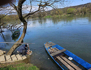 УНА ПОРИБЉЕНА СА 56 КИЛОГРАМА ШАРАНА