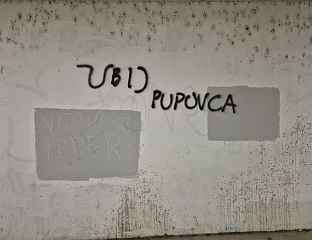 ПОНОВО ГРАФИТИ МРЖЊЕ КОД ШКОЛЕ "САВСКИ ГАЈ"