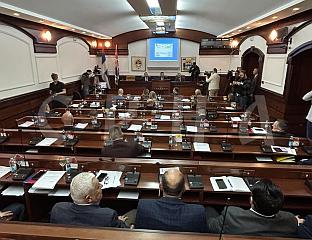 ПОЧЕЛА РЕДОВНА СЈЕДНИЦА