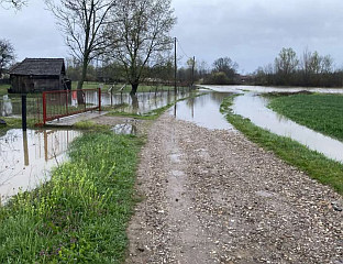 БУЈИЧНИ ВОДОТОКОВИ У БЛАГОЈ СТАГНАЦИЈИ И ОПАДАЊУ