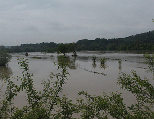 СПРЕЧА ПОПЛАВИЛА ПОЉОПРИВРЕДНО ЗЕМЉИШТЕ, ПОКРЕНУТА И КЛИЗИШТА