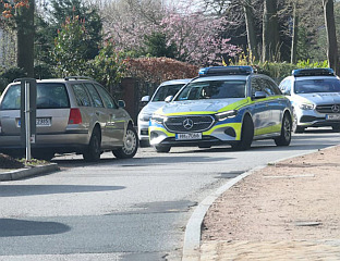 ВУК УГРИЗАО ЖЕНУ У ЦЕНТРУ ХАМБУРГА