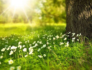 ДАНАС ПРЕТЕЖНО СУНЧАНО, ТЕМПЕРАТУРА ДО 21 СТЕПЕН